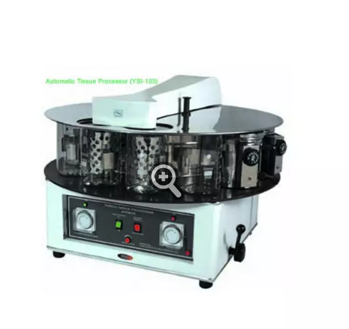 Tissue Processor