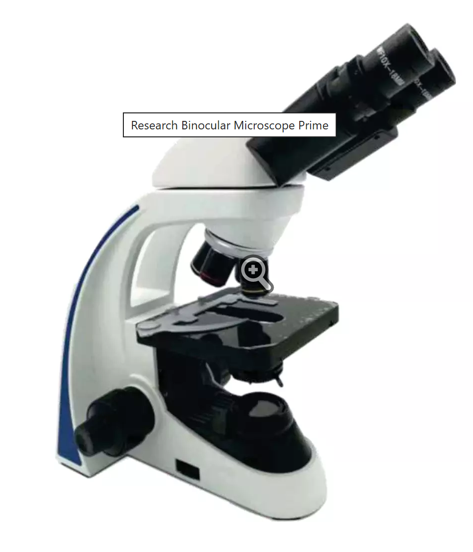 Binocular Microscope